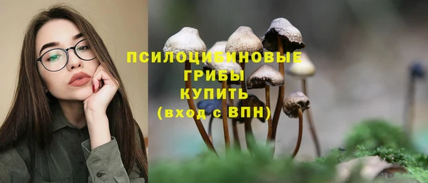 не бодяженный Осташков