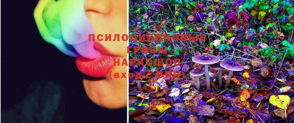 первитин Пестово