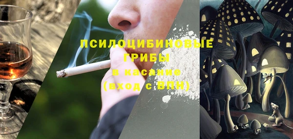 соль курить ск Дмитриев