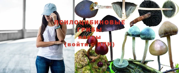 соль курить ск Дмитриев