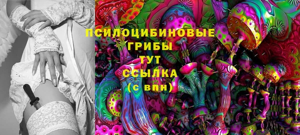 не бодяженный Дмитров